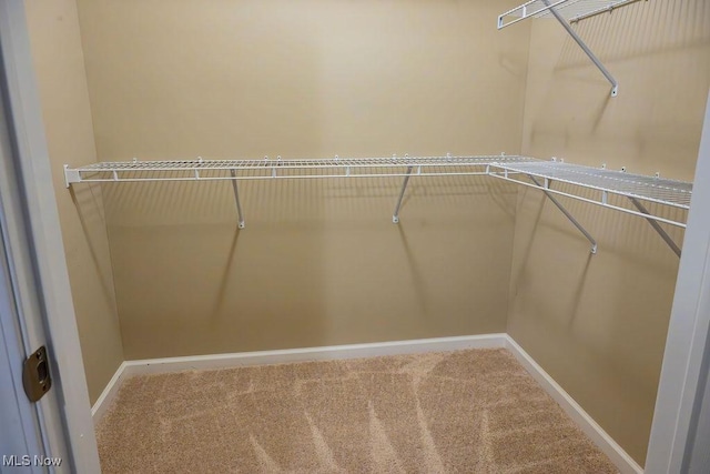 3327 Morningside Way, Lorain, OH 44053 - photo 18