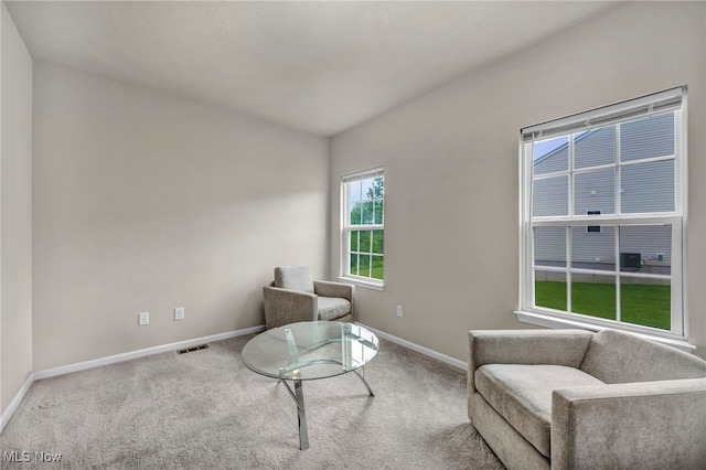 1633 Duncan Way, Streetsboro, OH 44241 - living area with baseboards and carpet flooring