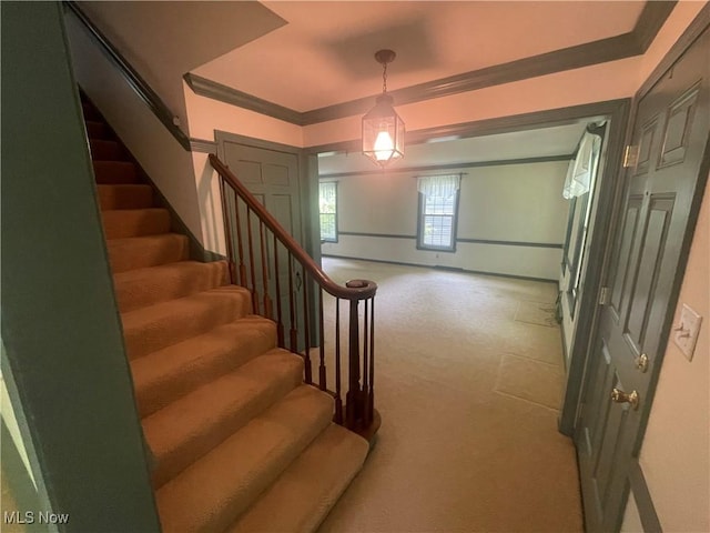 830 Blueberry Hill Dr, Canfield, OH 44406 - photo 5