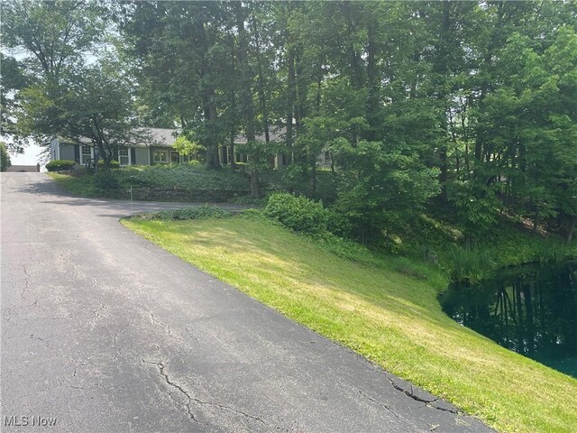 830 Blueberry Hill Dr, Canfield, OH 44406 - photo 29