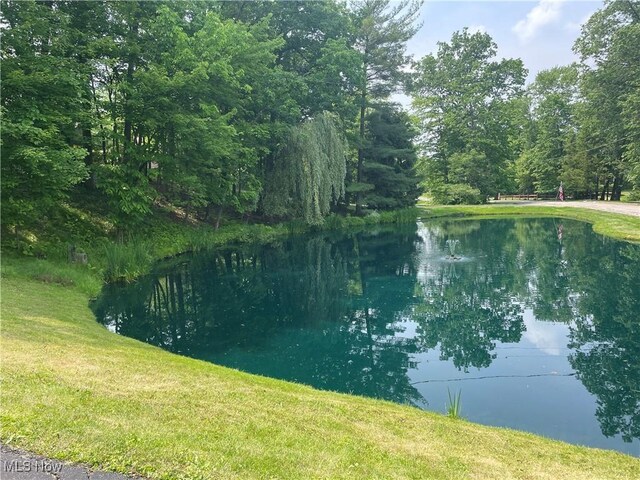 830 Blueberry Hill Dr, Canfield, OH 44406 - photo 30