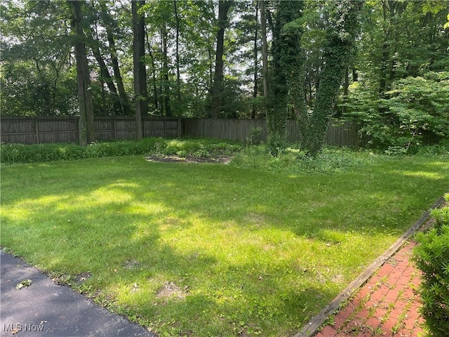 830 Blueberry Hill Dr, Canfield, OH 44406 - photo 32