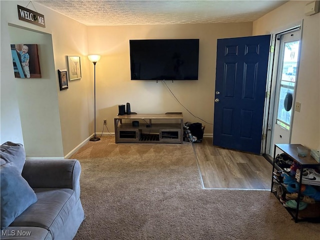 732 E High St, Alliance, OH 44601 - carpeted living room with a textured ceiling and wood finished floors