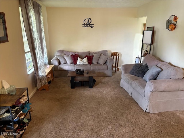 732 E High St, Alliance, OH 44601 - living area featuring carpet floors