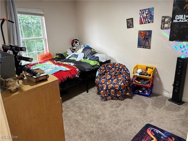 732 E High St, Alliance, OH 44601 - bedroom with carpet