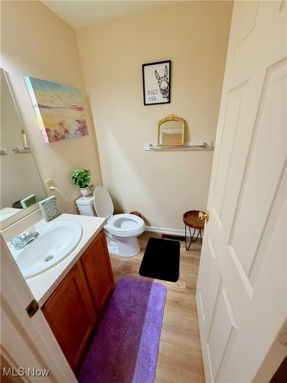 732 E High St, Alliance, OH 44601 - bathroom featuring vanity and wood finished floors