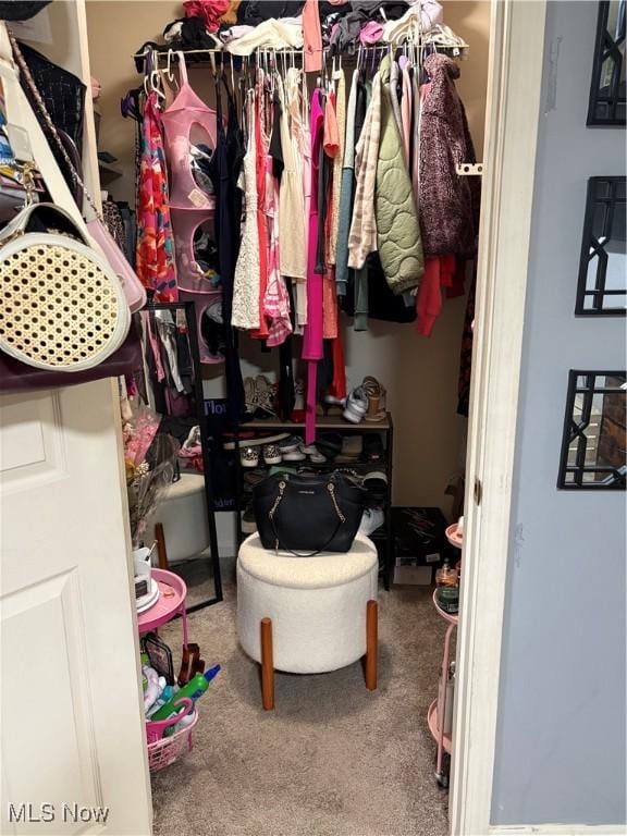 732 E High St, Alliance, OH 44601 - walk in closet with carpet flooring