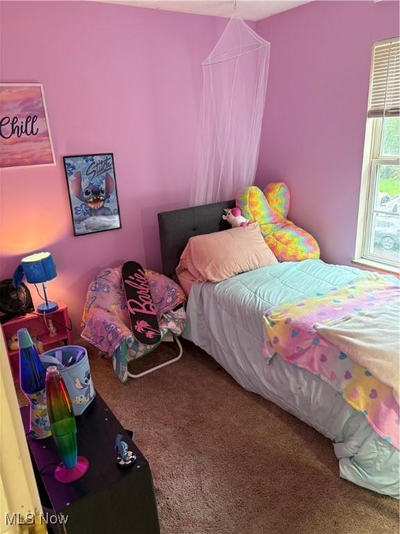 732 E High St, Alliance, OH 44601 - view of carpeted bedroom