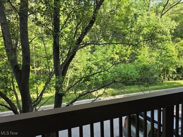 7428 Pine River Ct Unit C 48, Middleburg Heights, OH 44130 - photo 40