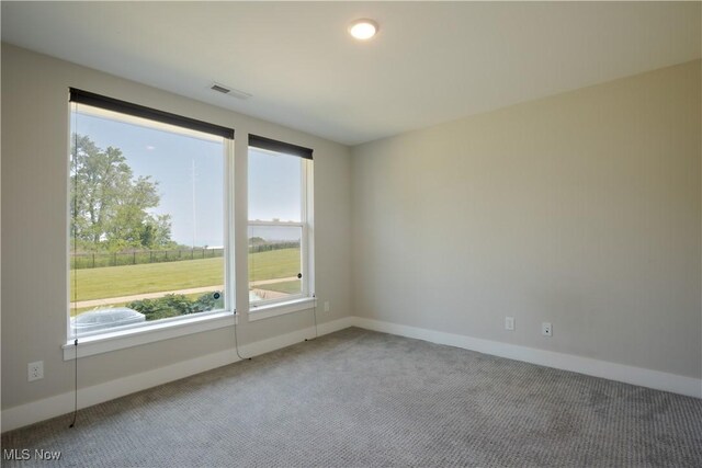 7314 Catlin Ct, Cleveland, OH 44102 - photo 24