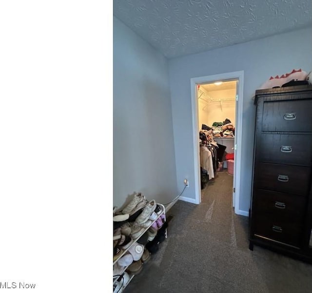 324 Buttermere Ln, Amherst, OH 44001 - hall featuring carpet flooring and a textured ceiling