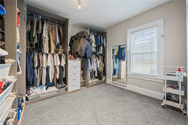 1646 Wyandotte Ave, Lakewood, OH 44107 - walk in closet with carpet floors