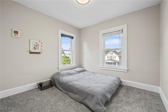 1646 Wyandotte Ave, Lakewood, OH 44107 - carpeted bedroom featuring multiple windows