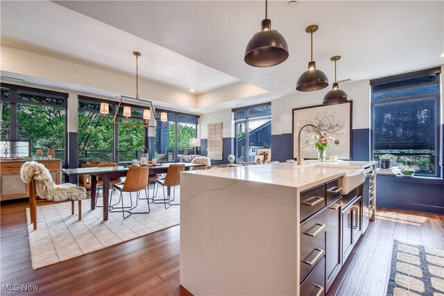 2044 Random Rd Unit 303, Cleveland, OH 44106 - kitchen featuring open floor plan, dark wood-type flooring, a tray ceiling, and hanging light fixtures