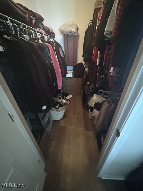 8050 Harbor Creek Dr Unit 1903, Mentor-On-The-Lake, OH 44060 - spacious closet with wood finished floors