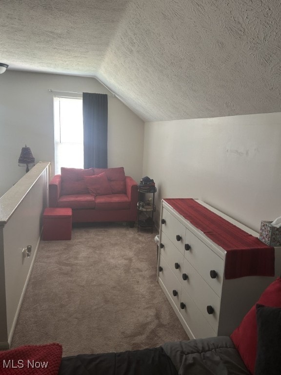 8050 Harbor Creek Dr Unit 1903, Mentor-On-The-Lake, OH 44060 - additional living space featuring a textured ceiling, vaulted ceiling, and carpet flooring