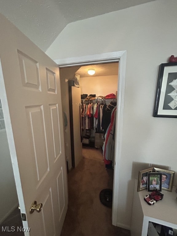 8050 Harbor Creek Dr Unit 1903, Mentor-On-The-Lake, OH 44060 - spacious closet with vaulted ceiling and carpet flooring
