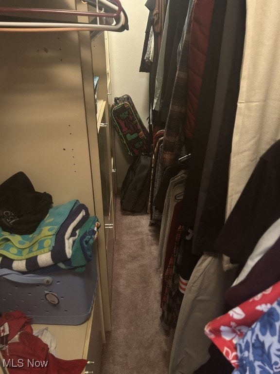 8050 Harbor Creek Dr Unit 1903, Mentor-On-The-Lake, OH 44060 - spacious closet with carpet flooring