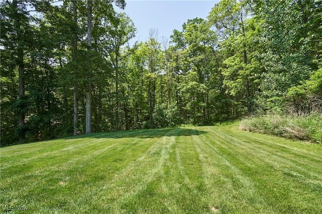 3116 Aviemore Way, Richfield, OH 44286 - view of green lawn
