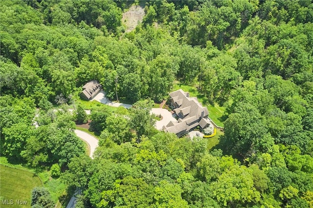 3116 Aviemore Way, Richfield, OH 44286 - aerial view of a forest