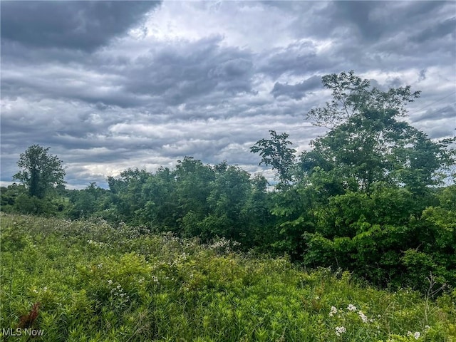 0 Green Hill Rd, Clarington, OH 43915