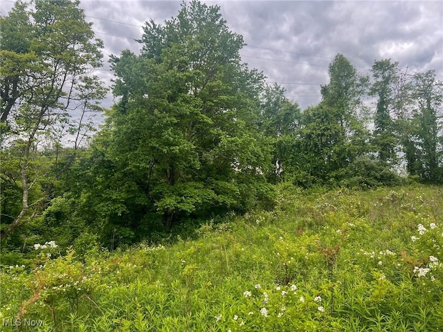 0 Green Hill Rd, Clarington, OH 43915