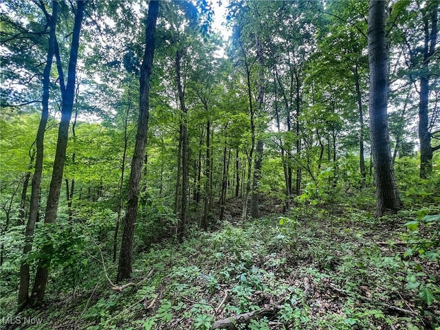 0 Green Hill Rd, Clarington, OH 43915
