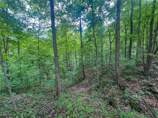 0 Green Hill Rd, Clarington, OH 43915