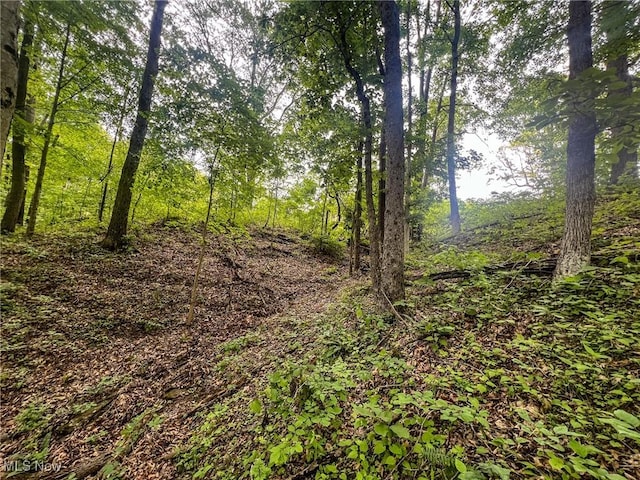 0 Green Hill Rd, Clarington, OH 43915