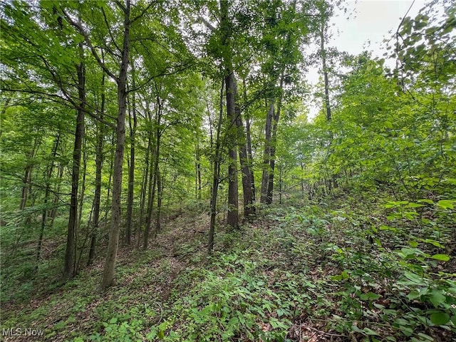 0 Green Hill Rd, Clarington, OH 43915