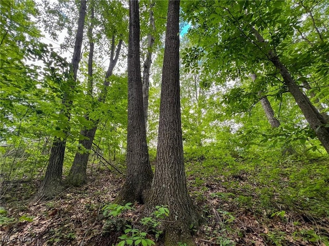 0 Green Hill Rd, Clarington, OH 43915