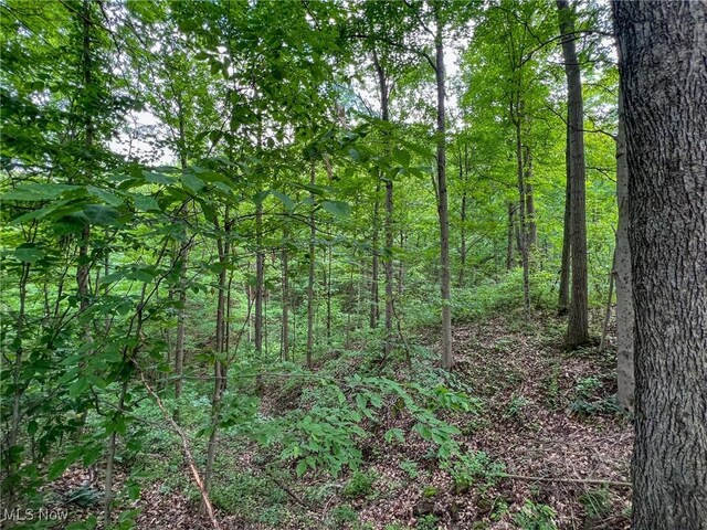 0 Green Hill Rd, Clarington, OH 43915