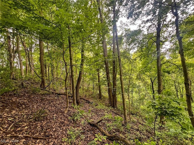 0 Green Hill Rd, Clarington, OH 43915