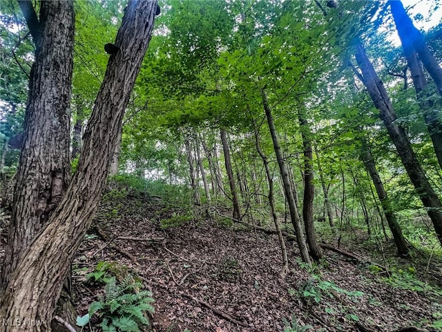 0 Green Hill Rd, Clarington, OH 43915
