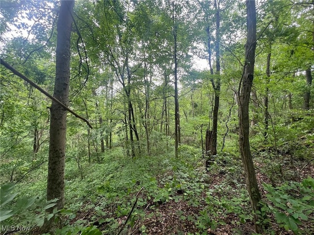 0 Green Hill Rd, Clarington, OH 43915