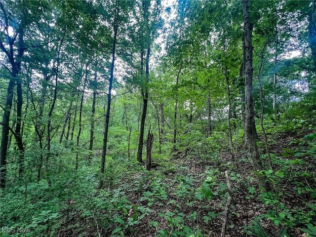0 Green Hill Rd, Clarington, OH 43915
