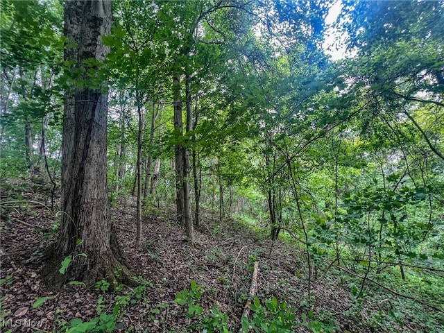 0 Green Hill Rd, Clarington, OH 43915