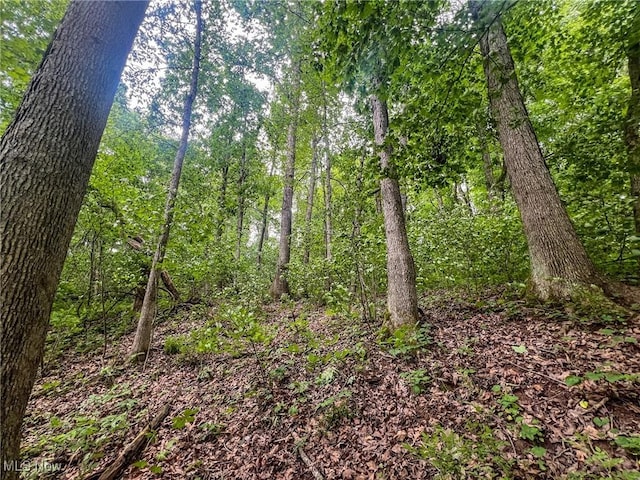 0 Green Hill Rd, Clarington, OH 43915