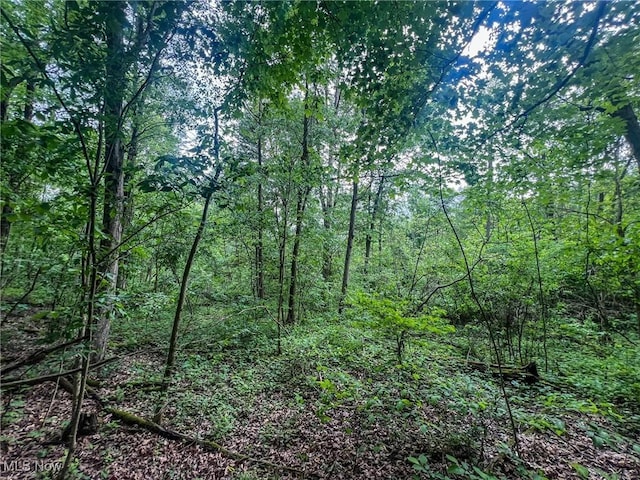 0 Green Hill Rd, Clarington, OH 43915