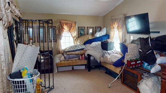 217 Meadowbrook Ave, Boardman, OH 44512 - carpeted bedroom featuring vaulted ceiling