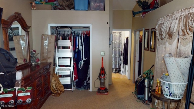 217 Meadowbrook Ave, Boardman, OH 44512 - bedroom with carpet flooring and a closet