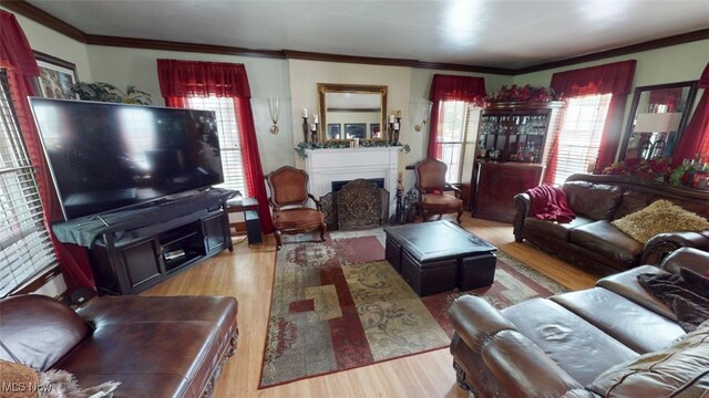 217 Meadowbrook Ave, Boardman, OH 44512 - living room with plenty of natural light, wood finished floors, a fireplace, and ornamental molding