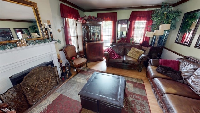 217 Meadowbrook Ave, Boardman, OH 44512 - living area with ornamental molding, wood finished floors, and a fireplace