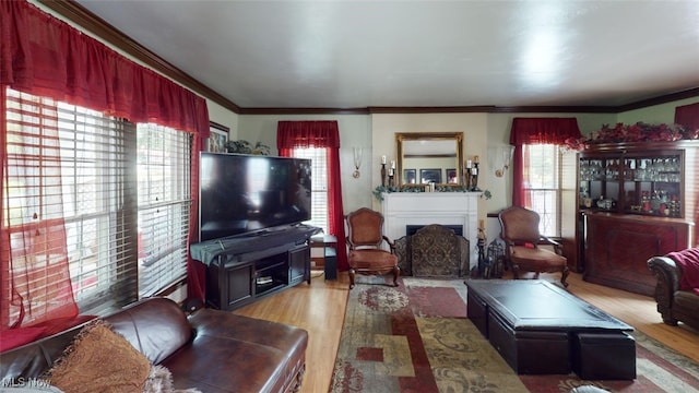 217 Meadowbrook Ave, Boardman, OH 44512 - living room featuring light wood-style flooring, a fireplace, and ornamental molding