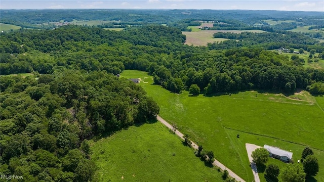 9910 Matchett Rd, Norwich, OH 43767 - view of rural area with a forest