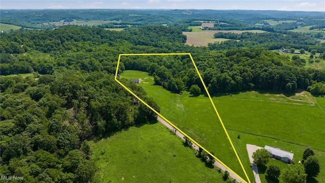 9910 Matchett Rd, Norwich, OH 43767 - view of rural area with property boundaries highlighted and a heavily wooded area