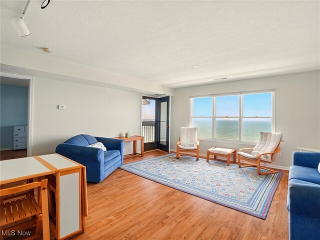 5237 Lake Rd W Unit 1133, Ashtabula, OH 44004 - living area featuring light wood-type flooring and a textured ceiling