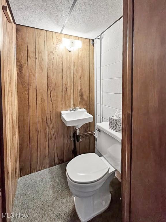 1027 Twp Rd Unit 1806, Ashland, OH 44805 - bathroom with wooden walls and a textured ceiling