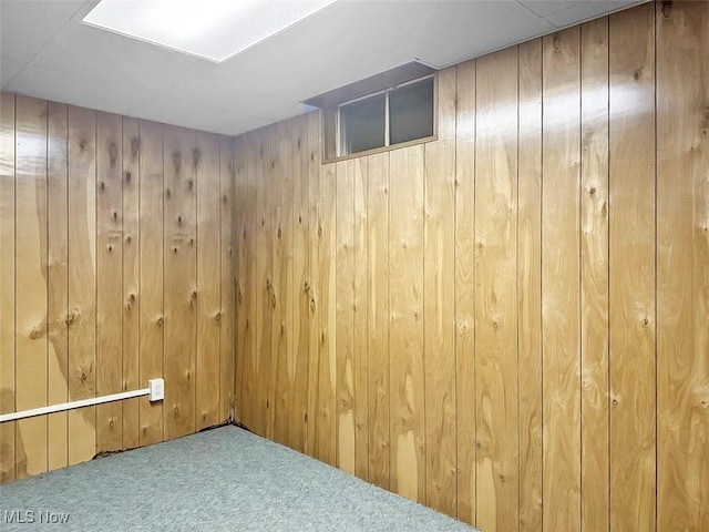1027 Twp Rd Unit 1806, Ashland, OH 44805 - finished below grade area featuring wood walls and carpet flooring