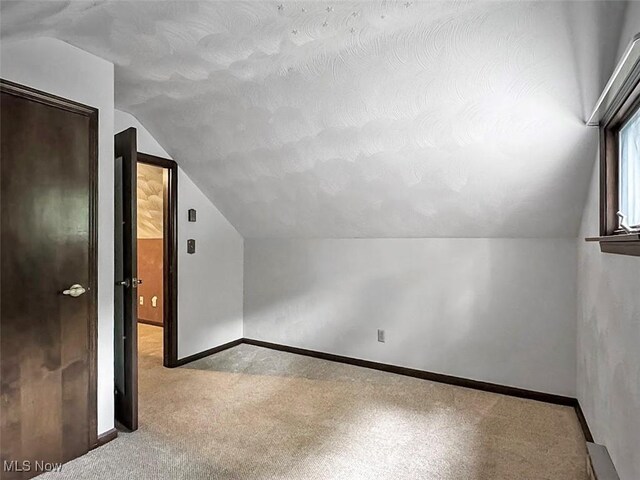 1027 Twp Rd Unit 1806, Ashland, OH 44805 - bonus room featuring vaulted ceiling and carpet